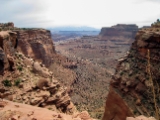 Moab-White Rim 4-08 004